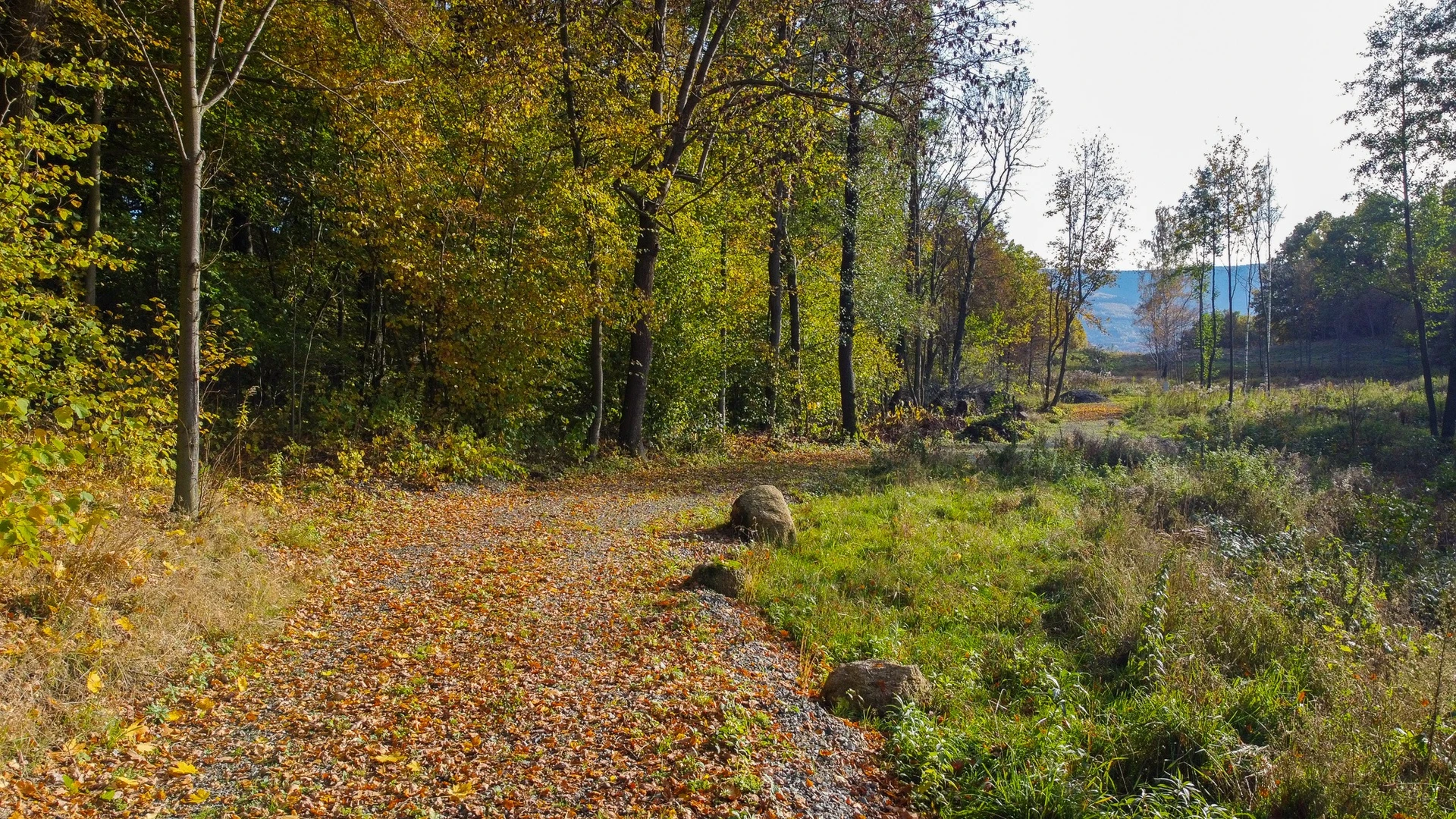 Działka w Bukowcu pod zabudowę turystyczną